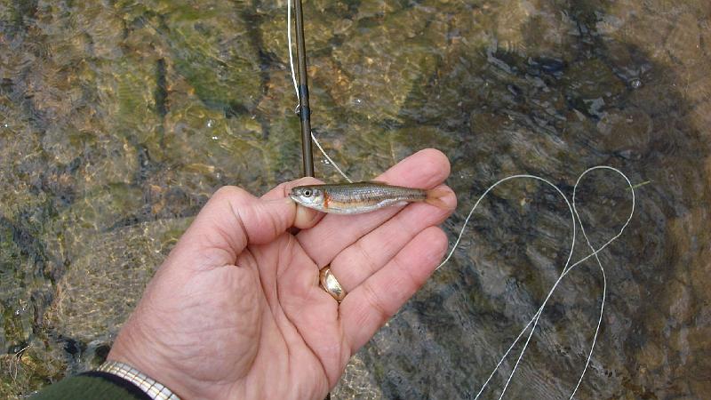 Smallest Catch Award.JPG